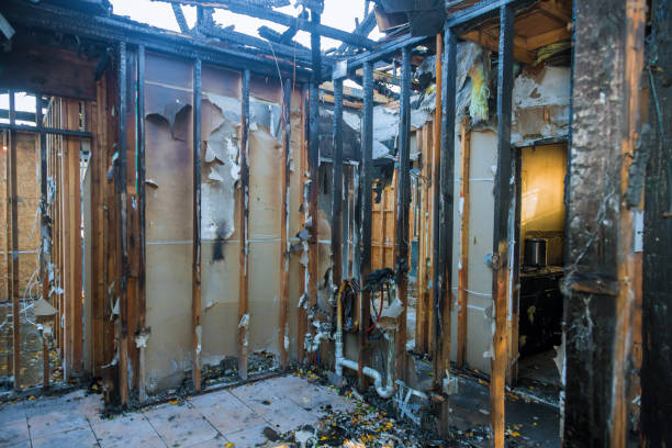 Professional Smoke Damage Removal technician working in South Palm Beach, FL